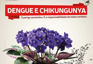 dengue_05122013